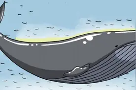 巨鲸闯天涯图片