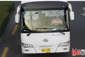 河北石家庄两名大客车司机不按规定使用安全带被处罚图片