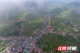 组图丨小雅，小雅：请把我的歌，带回我的家图片