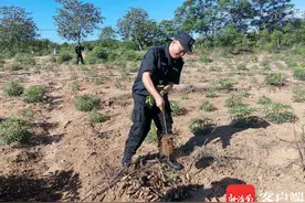 海垦八一总场公司扎实开展警保联控工作图片
