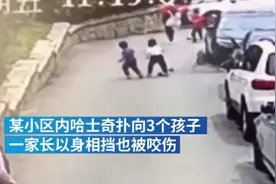 咬伤3名孩子，老太拒绝送走咬人哈士奇：敢送走我就不活了图片