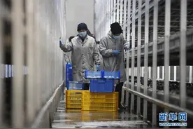 山海携手 圆梦小康——记闽宁对口扶贫协作援宁群体图片