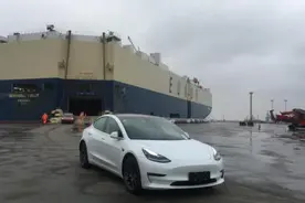 去年迎千余辆进口特斯拉，今年停满远征海外国产车，全国最大汽车滚装码头好忙图片