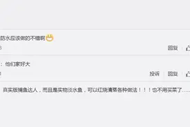冲上热搜！杭州千岛湖一家人在房间里抓鱼，网友评论笑喷图片