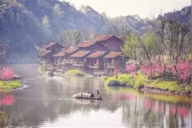 常德桃花源：“桃”醉天下客图片