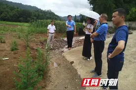 慈利县黔张常铁路协调建设指挥部重视自然灾毁恢复图片