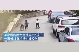 面对不讲理的狗主，讲法讲理也要讲情图片