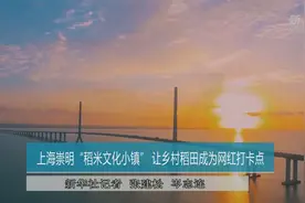 上海崇明“稻米文化小镇”：让乡村稻田成为网红打卡点视频封面