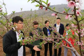 新泰：325名大学生回乡当村官图片