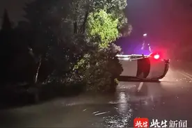 女子喝闷酒后让丈夫来接她，遭拒绝后暴雨中酒驾，撞毁绿化带后翻车图片