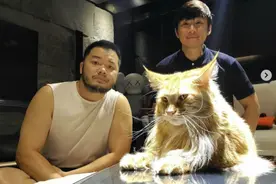 九年长跑成正果！张惠妹经纪人与同性伴侣结婚图片