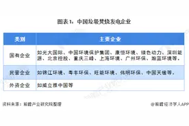 2020年垃圾发电行业市场现状与竞争格局分析 光大国际一马当先图片