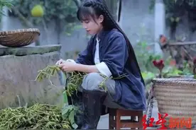 越南博主模仿李子柒？各国的“李子柒”很相似图片