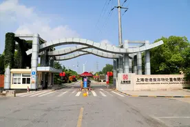 分好的垃圾去哪了？上海生活垃圾处置的“最后一公里”不一般图片