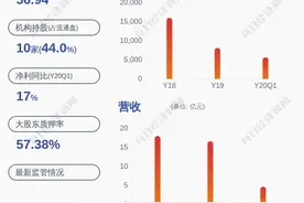 预增！雅本化学：预计2020年半年度净利润为8900万~9100万元，同比增长1201.85%~1231.11%图片