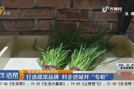 潍坊这个村庄打造出蔬菜好品牌，一斤韭菜能卖到38元，销量太火爆视频封面