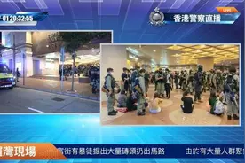 港警已拘捕逾300人：15岁少女等9人涉嫌违反港区国安法图片