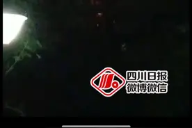 昨晚一把大火轰动全网，原因查明：一男子纵火烧死前妻，随后跳楼身亡图片