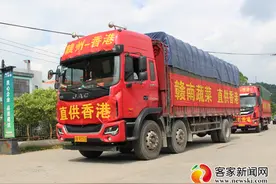 赣州开通粤港澳大湾区蔬菜直通车，首批产品今日从龙南始发供港图片