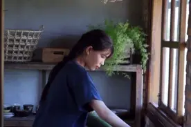 登上热搜第一的越南“李子柒”被称为“乡村仙子”图片