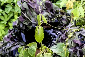 40秒“魔鬼周”超燃混剪！每一帧都让你热血沸腾图片