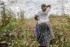 2020下半场更凶险？“末日地堡”在美国房地产市场异军突起，了解一下图片