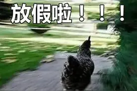 刚刚，高考结束了！网友评论又亮了图片