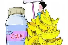 赤霉素、膨大剂......农业农村部首席专家来说说植物生长调节剂这事图片