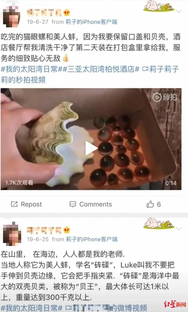 优化砗磲（马上评丨砗磲是保护动物）