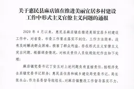 山东一县“合村并居”工程被批“形式主义官僚主义”，一批干部被处分，两副县长作深刻检查图片
