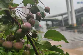 济南的天又变“娃娃脸”！蓝天白云，晴空万里，突然暴风雨图片