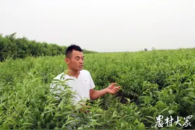 走向我们的小康生活｜6年扎根在地里，致富路上他越走越宽阔图片