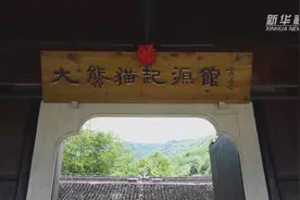 熊猫走巴蜀｜宝兴县委书记冯俊涛：来宝兴，给你点“颜色”瞧瞧视频封面