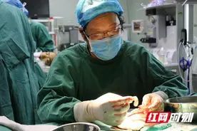 肋软变"耳朵”娄底市中医医院玩了个医学“魔术”图片