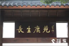 明孝陵集齐“三宝”！明起在这里和8只小鹿有约图片
