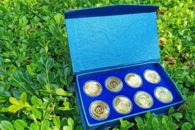 看了这些毕业礼物，真的……彻！底！酸！了图片