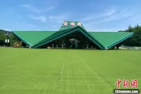 中国最北熊猫馆开馆 国宝结束“居馆隔离”亮相图片