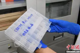 探访中国第一个人脑库：解密人类“脑部密码”图片