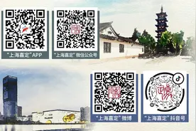 月薪最高4.6万元！这10家企业正在招聘！嘉定区发布最新用工需求（第79期）图片