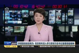 学思践悟奋发有为  党员青年深入学习贯彻习总书记重要回信精神视频封面