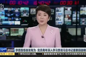 学思践悟奋发有为  党员青年深入学习贯彻习总书记重要回信精神视频封面