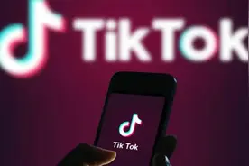 TikTok折戟印度图片