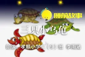睡前故事丨三只小乌龟图片
