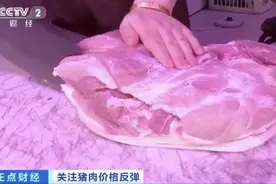 突然！猪肉价格反弹！一公斤涨近7元，接下来怎么走？图片