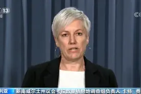 澳大利亚议会调查显示：新南威尔士州考拉恐在30年内灭绝图片