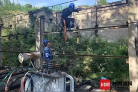广元3000余用户遭停电 竟是1.5米长的菜花蛇惹的祸图片