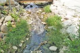 打工村蝶变旅游村图片