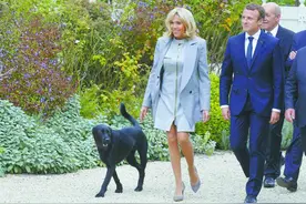 法国第一犬，礼物比马克龙还多图片