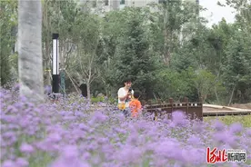 快来打卡！石家庄高新区昆仑公园开园了图片