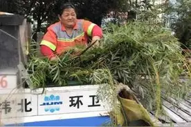 最美橘黄色！济南天桥区纬北路环卫人奏响雨中保洁交响曲图片